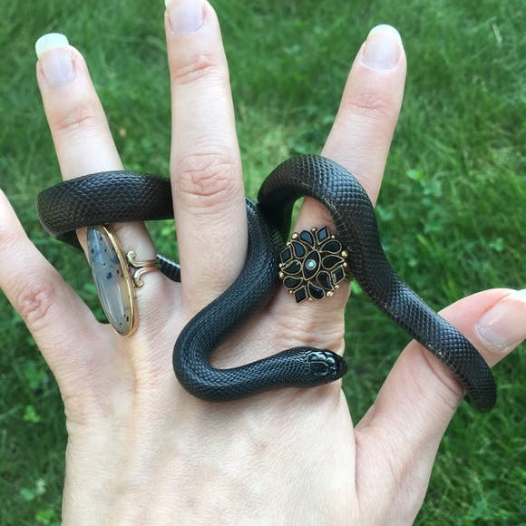 Meet your Posher, Jen - Picture 5 of 8